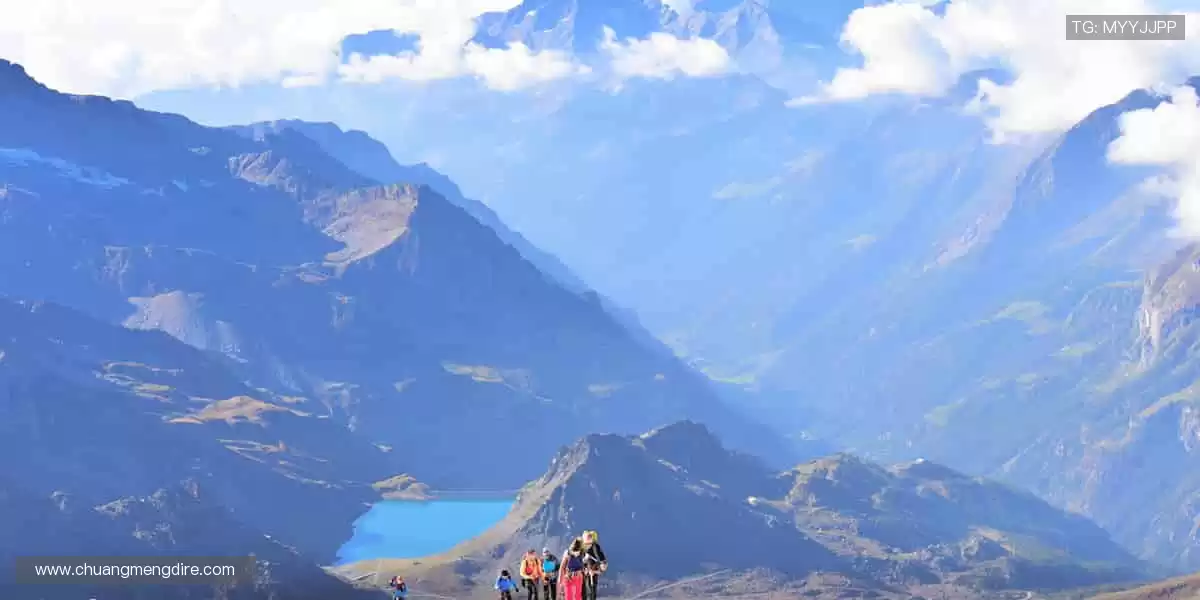 高清画质,畅享赛事!🎥🏒