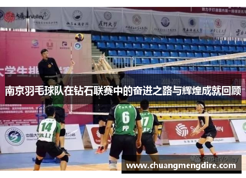 南京羽毛球队在钻石联赛中的奋进之路与辉煌成就回顾